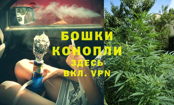 ГАЛЛЮЦИНОГЕННЫЕ ГРИБЫ Лабытнанги