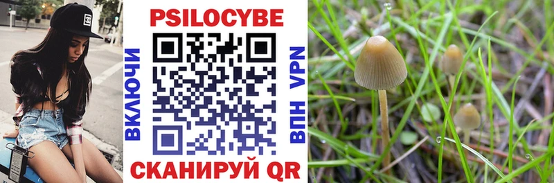 купить наркотик Ижевск мега как зайти Псилоцибиновые грибы GOLDEN TEACHER